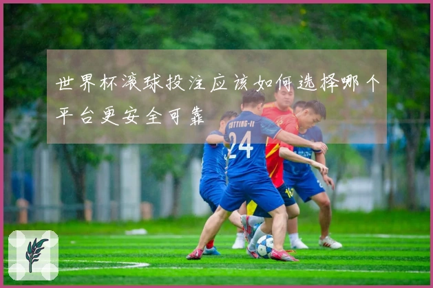 世界杯滚球投注应该如何选择哪个平台更安全可靠