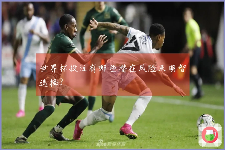 世界杯投注有哪些潜在风险及明智选择？
