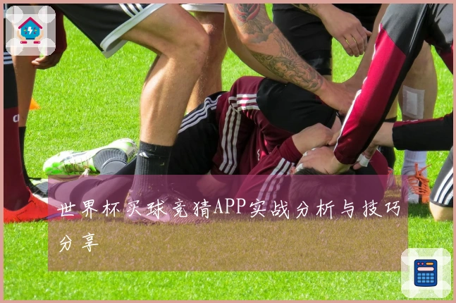世界杯买球竞猜APP实战分析与技巧分享