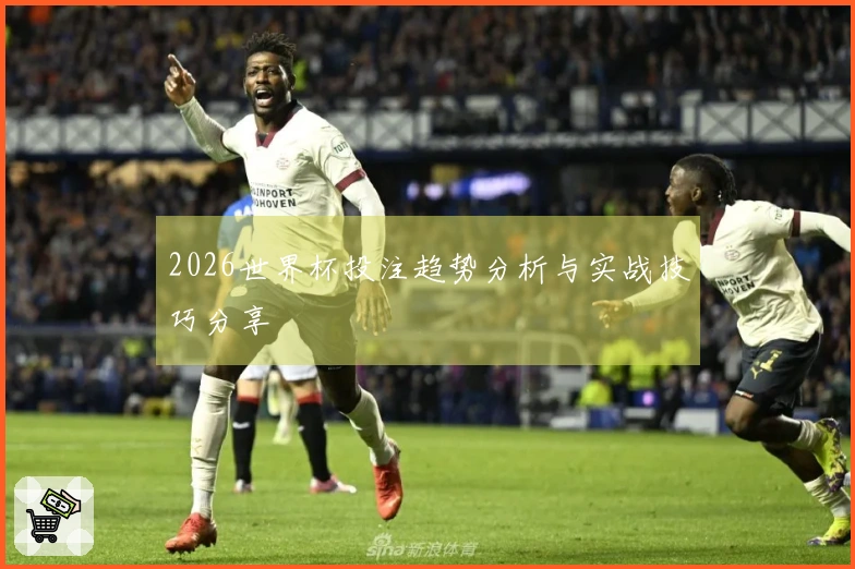 2026世界杯投注趋势分析与实战技巧分享