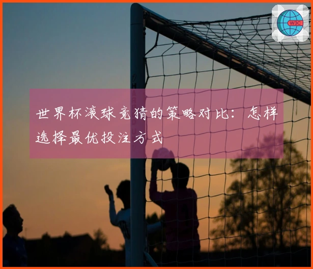 世界杯滚球竞猜的策略对比：怎样选择最优投注方式