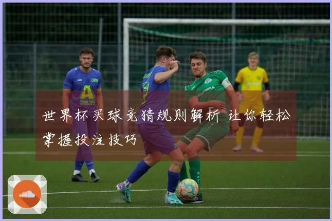 世界杯买球竞猜规则解析 让你轻松掌握投注技巧